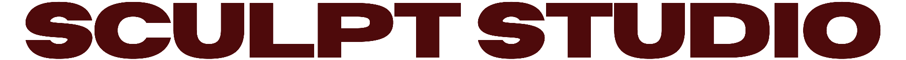Sculpt Studio